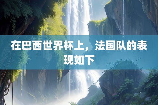 在巴西世界杯上，法国队的表现如下