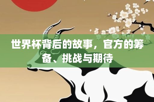 世界杯背后的故事，官方的筹备、挑战与期待