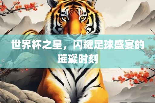 世界杯之星，闪耀足球盛宴的璀璨时刻