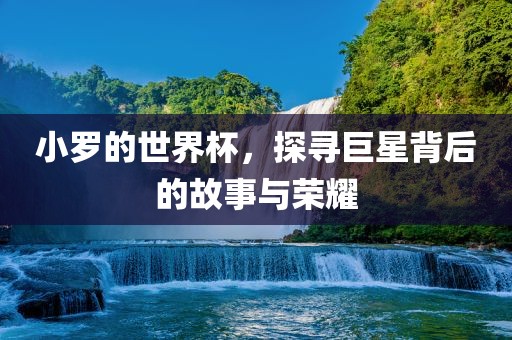 小罗的世界杯，探寻巨星背后的故事与荣耀