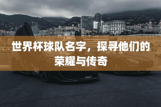 世界杯球队名字，探寻他们的荣耀与传奇