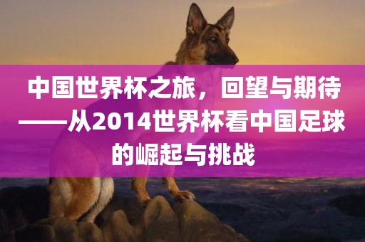 中国世界杯之旅，回望与期待——从2014世界杯看中国足球的崛起与挑战