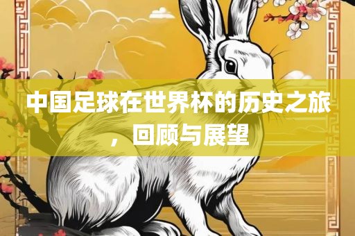 中国足球在世界杯的历史之旅，回顾与展望