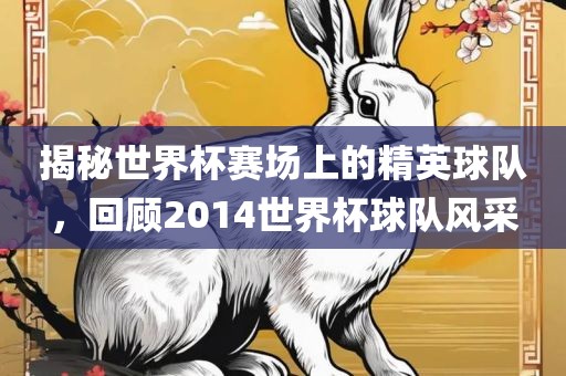 揭秘世界杯赛场上的精英球队，回顾2014世界杯球队风采