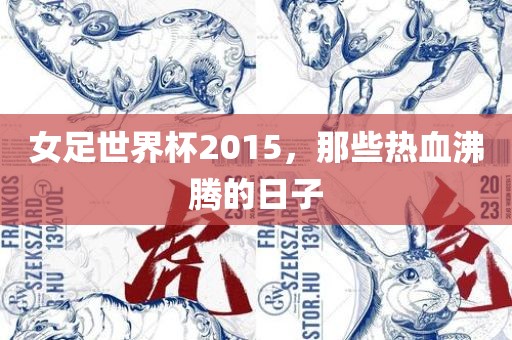 女足世界杯2015，那些热血沸腾的日子