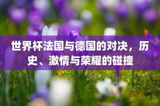 世界杯法国与德国的对决，历史、激情与荣耀的碰撞