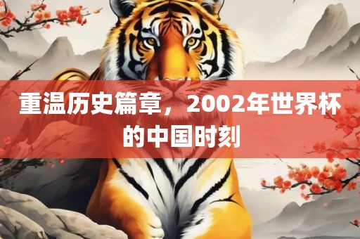 重温历史篇章，2002年世界杯的中国时刻