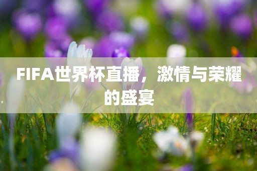 FIFA世界杯直播，激情与荣耀的盛宴