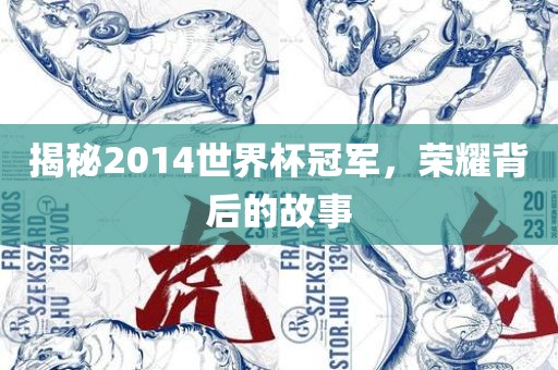 揭秘2014世界杯冠军，荣耀背后的故事
