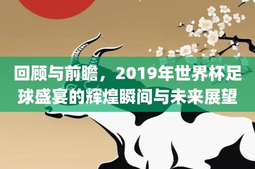 回顾与前瞻，2019年世界杯足球盛宴的辉煌瞬间与未来展望