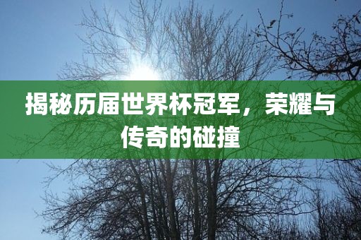 揭秘历届世界杯冠军，荣耀与传奇的碰撞