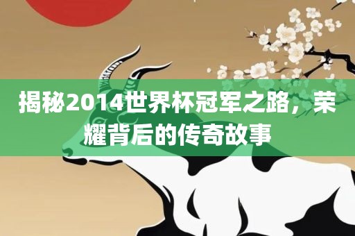 揭秘2014世界杯冠军之路，荣耀背后的传奇故事