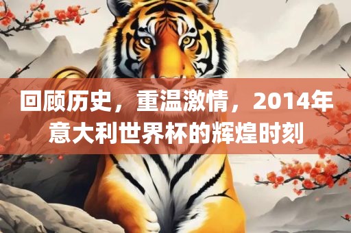 回顾历史，重温激情，2014年意大利世界杯的辉煌时刻