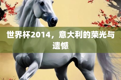 世界杯2014，意大利的荣光与遗憾