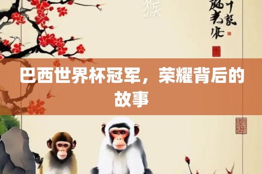 巴西世界杯冠军，荣耀背后的故事