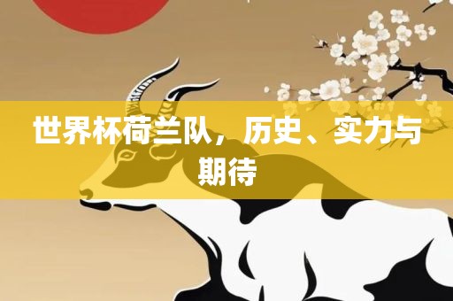 世界杯荷兰队，历史、实力与期待