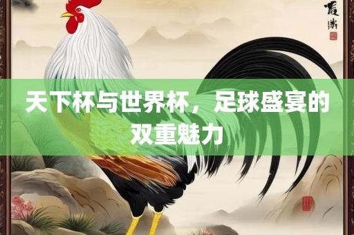 天下杯与世界杯，足球盛宴的双重魅力
