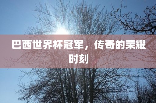 巴西世界杯冠军，传奇的荣耀时刻