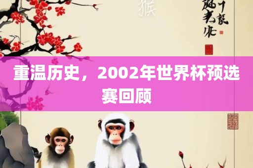 重温历史，2002年世界杯预选赛回顾