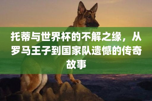 托蒂与世界杯的不解之缘，从罗马王子到国家队遗憾的传奇故事