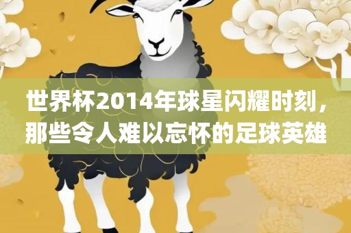 世界杯2014年球星闪耀时刻，那些令人难以忘怀的足球英雄