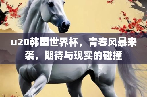 u20韩国世界杯，青春风暴来袭，期待与现实的碰撞