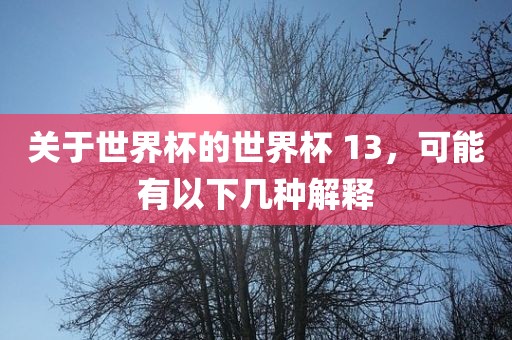 关于世界杯的世界杯 13，可能有以下几种解释