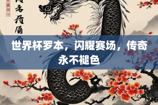 世界杯罗本，闪耀赛场，传奇永不褪色