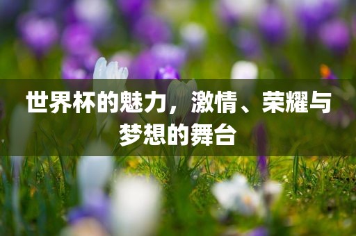 世界杯的魅力，激情、荣耀与梦想的舞台