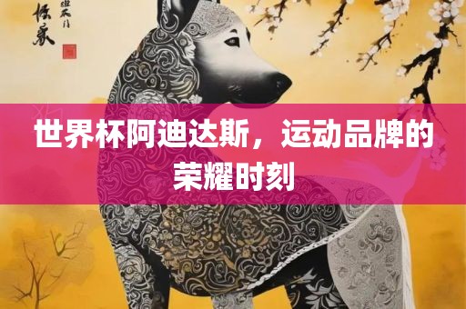 世界杯阿迪达斯，运动品牌的荣耀时刻