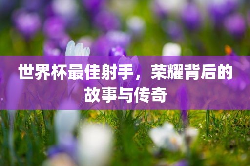 世界杯最佳射手，荣耀背后的故事与传奇