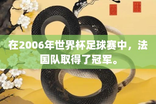 在2006年世界杯足球赛中，法国队取得了冠军。