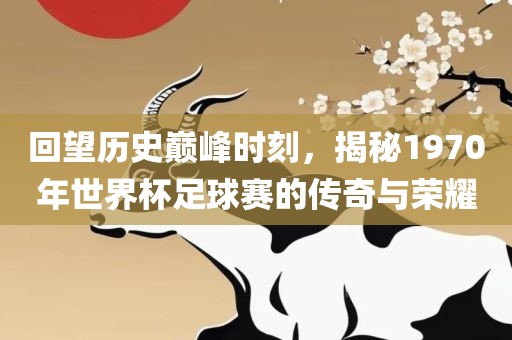 回望历史巅峰时刻，揭秘1970年世界杯足球赛的传奇与荣耀