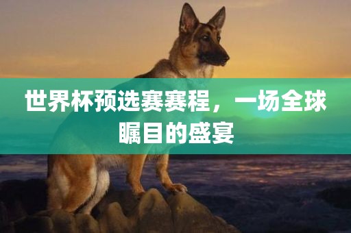 世界杯预选赛赛程，一场全球瞩目的盛宴