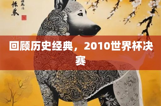 回顾历史经典，2010世界杯决赛