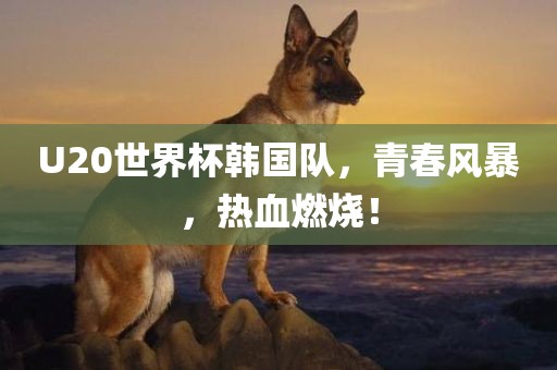 U20世界杯韩国队，青春风暴，热血燃烧！