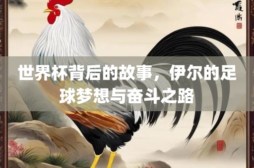 世界杯背后的故事，伊尔的足球梦想与奋斗之路