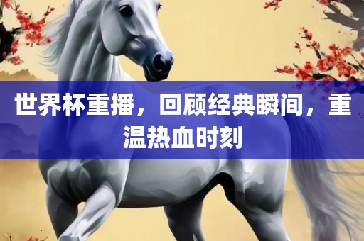 世界杯重播，回顾经典瞬间，重温热血时刻