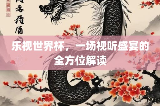乐视世界杯，一场视听盛宴的全方位解读