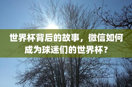 世界杯背后的故事，微信如何成为球迷们的世界杯？