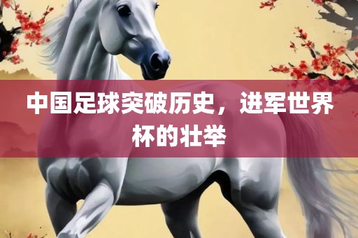 中国足球突破历史，进军世界杯的壮举