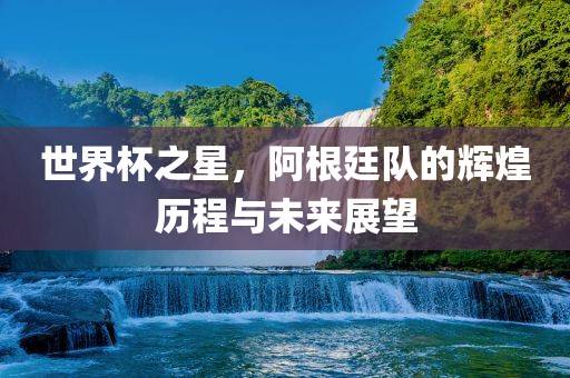 世界杯之星，阿根廷队的辉煌历程与未来展望