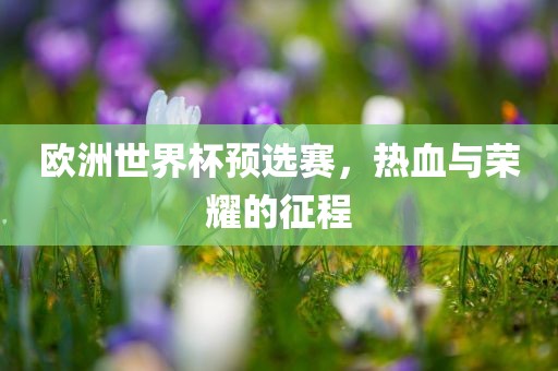 欧洲世界杯预选赛，热血与荣耀的征程