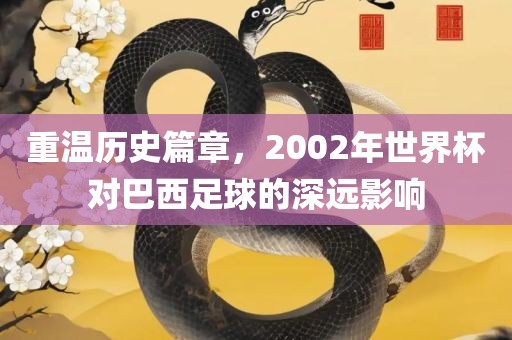 重温历史篇章，2002年世界杯对巴西足球的深远影响