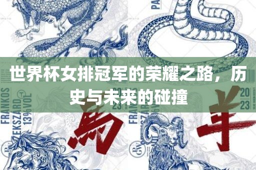 世界杯女排冠军的荣耀之路，历史与未来的碰撞