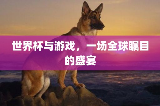 世界漯河市盈旭机械设备有限公司杯与游戏，一场全球瞩目的盛宴