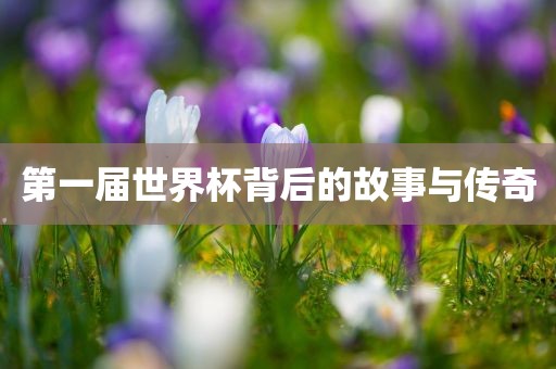 第一届世界杯背后的故事与传奇漯河市盈旭机械设备有限公司