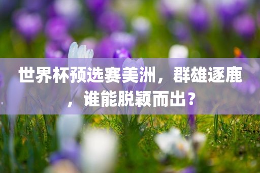 世界杯预选赛美洲，群雄逐鹿，谁能脱颖而出？