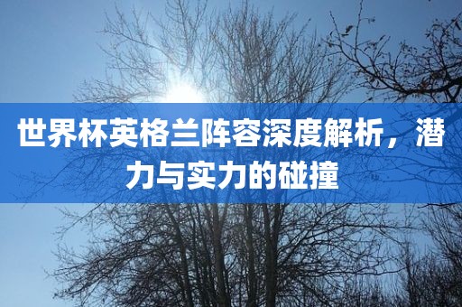 世界杯英格兰阵容深度解析，潜力与实力的碰撞