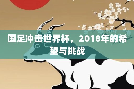 国足冲击世界杯，2018年的希望与挑战